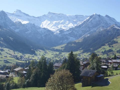 Apartment Krebs by Interhome Condo in Adelboden