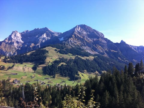 Apartment Krebs by Interhome Condo in Adelboden