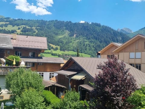 Apartment Bachhüsi by Interhome Apartment in Saanen