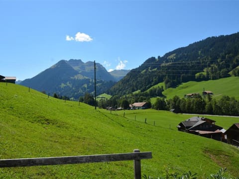 Apartment Arduus by Interhome Apartment in Saanen