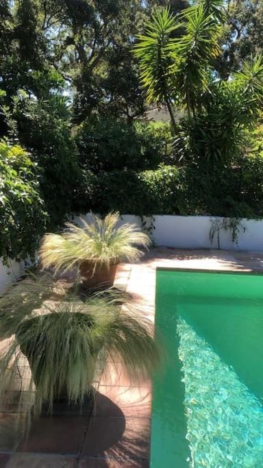 Grand Mas avec piscine sur Ramatuelle-Saint-Tropez Villa in Gassin