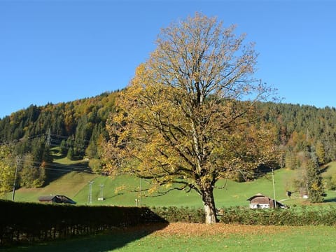 Apartment Oberland Nr- 3 by Interhome Condo in Saanen