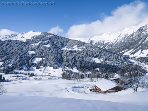 Apartment Am Bächli by Interhome Appartamento in Canton of Valais