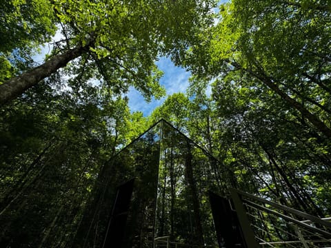 Property building, Day, Natural landscape