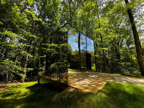 Property building, Day, Natural landscape