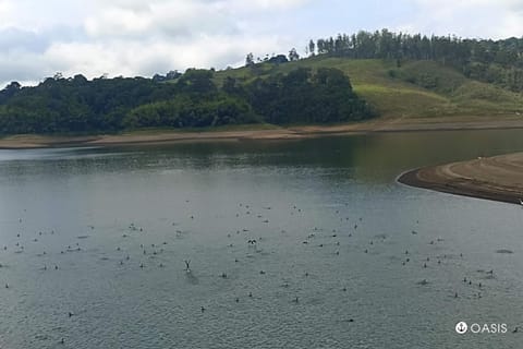 Day, Natural landscape, Lake view, Mountain view