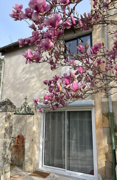 Property building, Day, Garden view