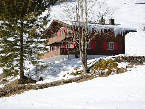 Apartment Chalet Heureka-Horbis by Interhome Apartment in Nidwalden