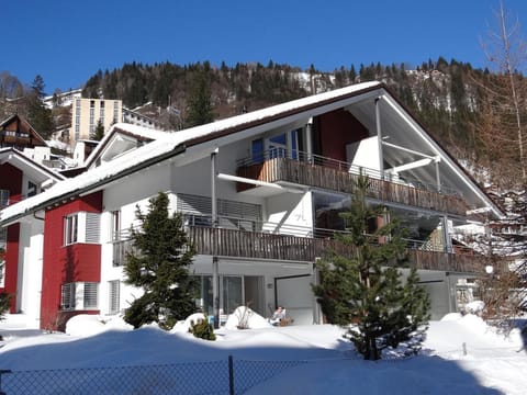 Apartment Blumenweg 10 by Interhome Apartment in Nidwalden