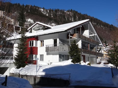 Apartment Blumenweg 10 by Interhome Apartment in Nidwalden