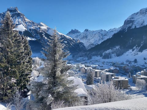 Apartment Aurora by Interhome Apartment in Nidwalden