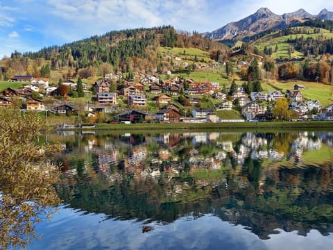 Apartment Aurora by Interhome Apartment in Nidwalden