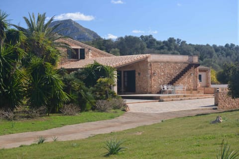 Patio, Garden, Garden view