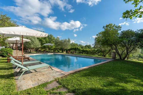 Property building, Summer, Garden, On site, Swimming pool