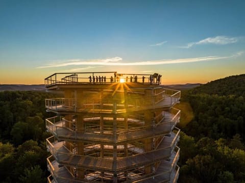 Modern Lodge Pool & Spa Mont-Tremblant Apartment in Mont-Tremblant