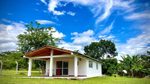 Property building, Day, Natural landscape, Garden, Garden view