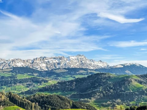 Apartment Panoramablick by Interhome Apartment in Appenzell Innerrhoden, Switzerland