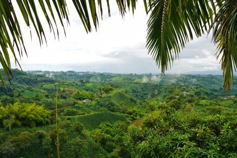 Spring, Day, Natural landscape, View (from property/room), Mountain view