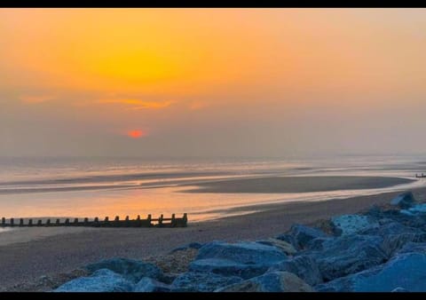 Natural landscape, Beach, Sunset