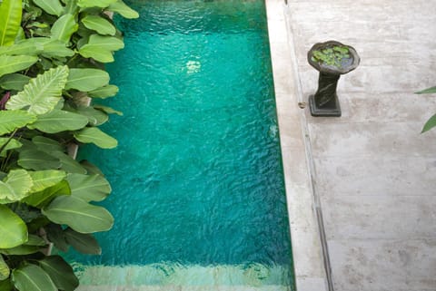 Day, Garden, Pool view, Swimming pool