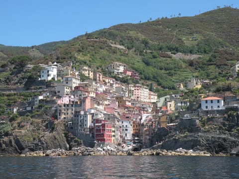 Natural landscape