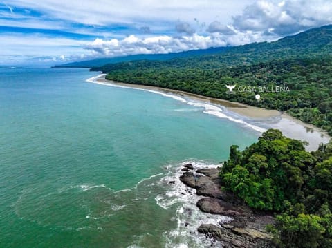 Natural landscape, Bird's eye view, Sea view