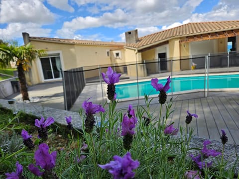 Garden, Swimming pool, sunbed