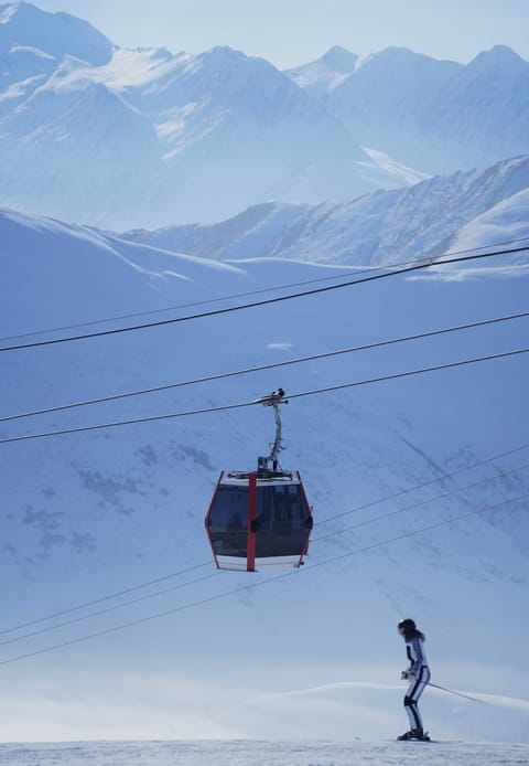 Day, People, Winter, Skiing, group of guests