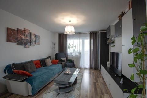 Cosy Apartment Apartment in Cluj-Napoca