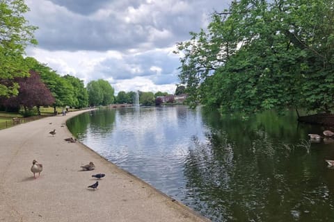 Nearby landmark, Lake view