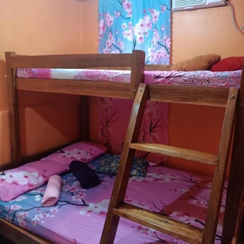 Bed, Photo of the whole room, Bedroom, bunk bed