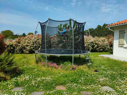 Garden, Garden view