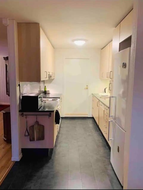 Kitchen or kitchenette, oven, stove