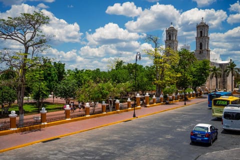 Neighbourhood, City view, Street view, Location, Parking