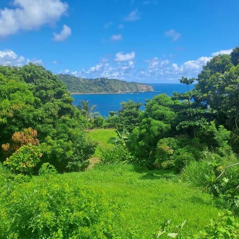 Natural landscape, Sea view