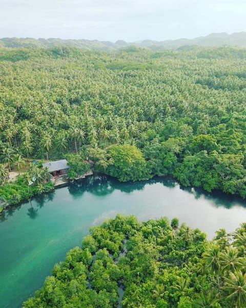 Nearby landmark, Day, Natural landscape, Bird's eye view, Mountain view, River view, Open Air Bath