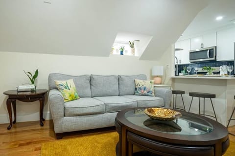 80-3 FESTIVE OFFER 30 PERCENT! Brand new and luxury apartment in Boston Apartment in Quincy