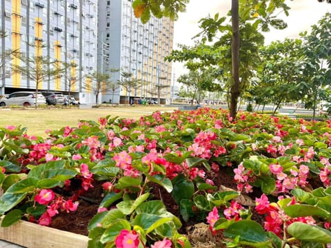 Natural landscape, Garden, Garden view