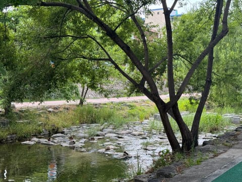 Property building, Spring, Natural landscape, River view