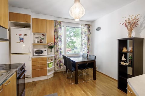 Kitchen or kitchenette, Dining area, oven, stove