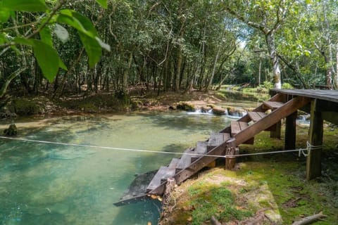 Recanto Santa Felicidade House in State of Mato Grosso do Sul, Brazil