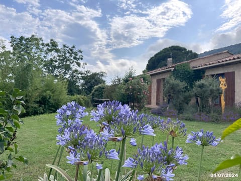 Spring, Day, Natural landscape, Garden, Garden view