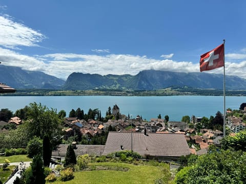 Nearby landmark, Day, Natural landscape, View (from property/room), Lake view, Landmark view, Mountain view