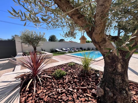 Garden, Garden view, Pool view, Swimming pool