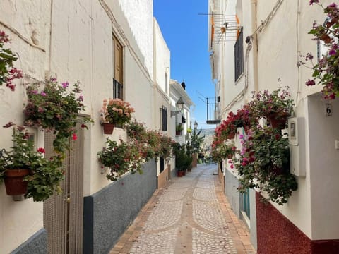 Neighbourhood, Street view