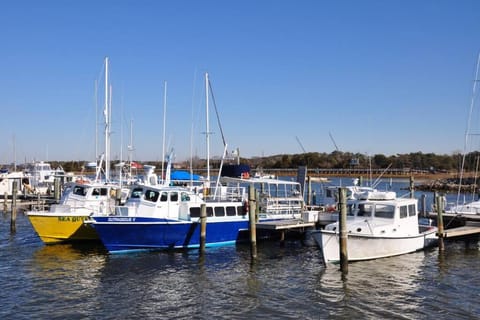 Beaufort Harbour Suites East Lodge House in Beaufort