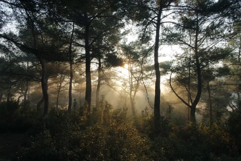 Natural landscape, Hiking, Sunset