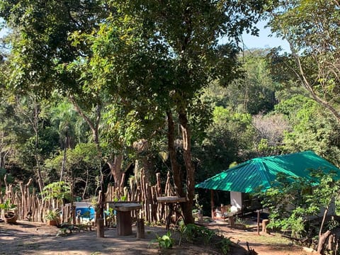 Magic Tree Campground/ 
RV Resort in Santa Cruz Department, Bolivia