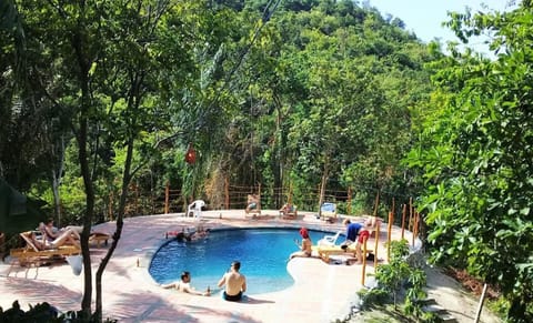 Garden, Balcony/Terrace, Garden view, Pool view