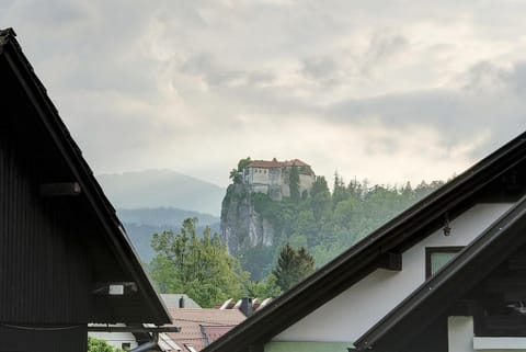 Apartments Villa AnnaMaria Condo in Bled